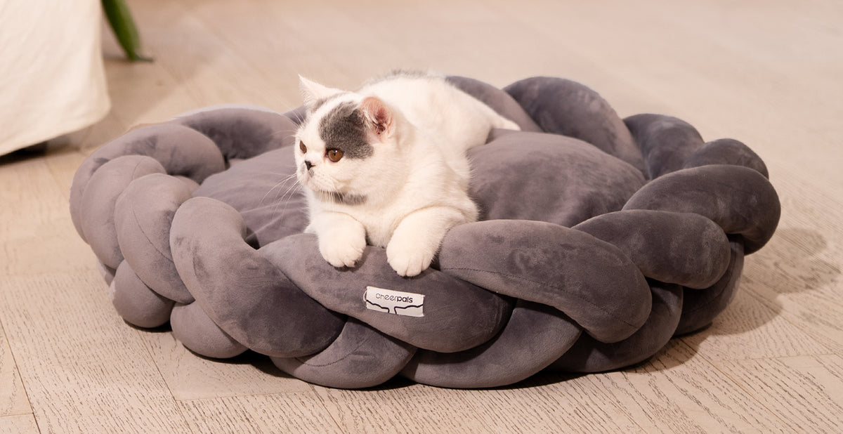 CheerPals Twisted Pet Bed, Weave Cat Bed Sofa with Cushion for Indoor Cats Puppy