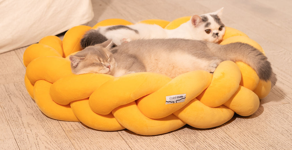 CheerPals Twisted Pet Bed, Weave Cat Bed Sofa with Cushion for Indoor Cats Puppy