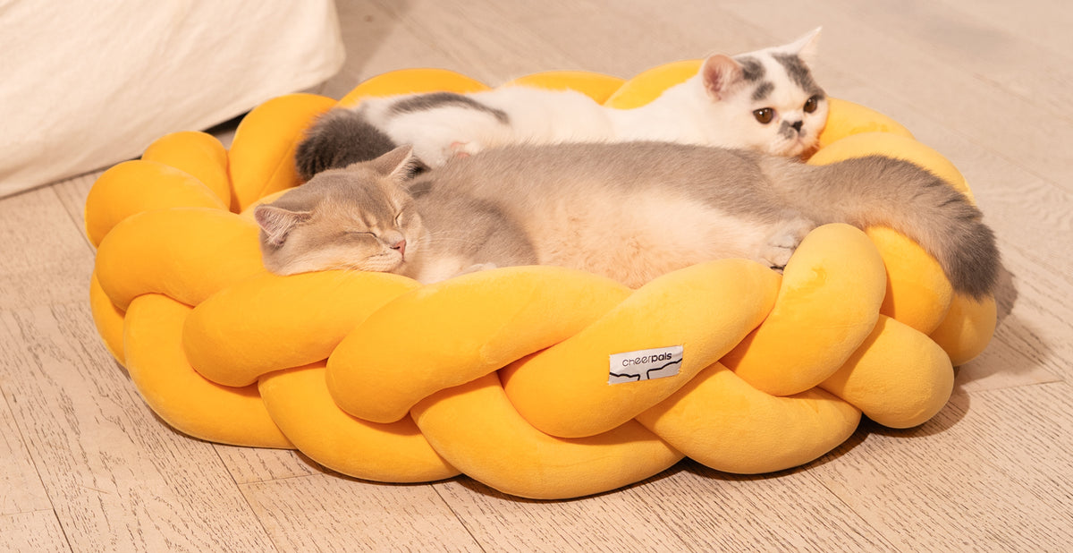 CheerPals Twisted Pet Bed, Weave Cat Bed Sofa with Cushion for Indoor Cats Puppy