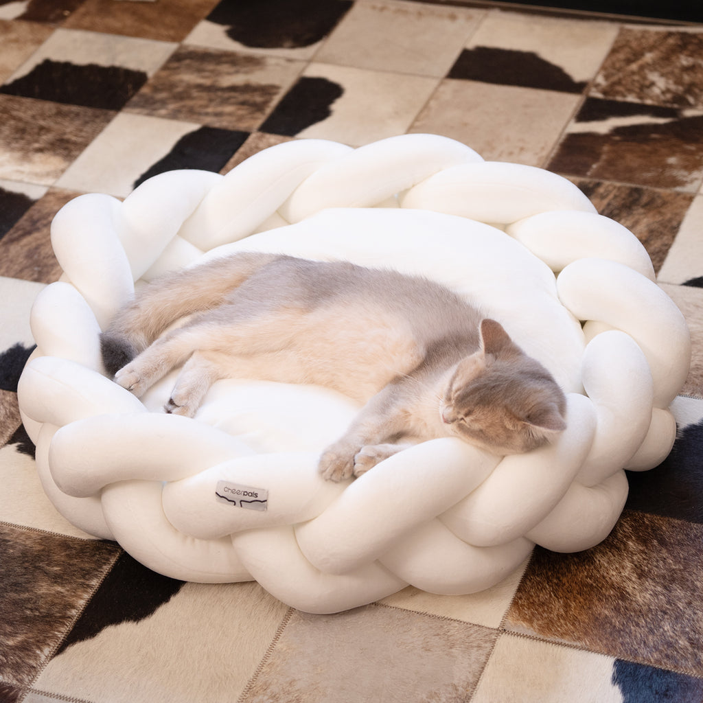 CheerPals Twisted Pet Bed, Weave Cat Bed Sofa with Cushion for Indoor Cats Puppy