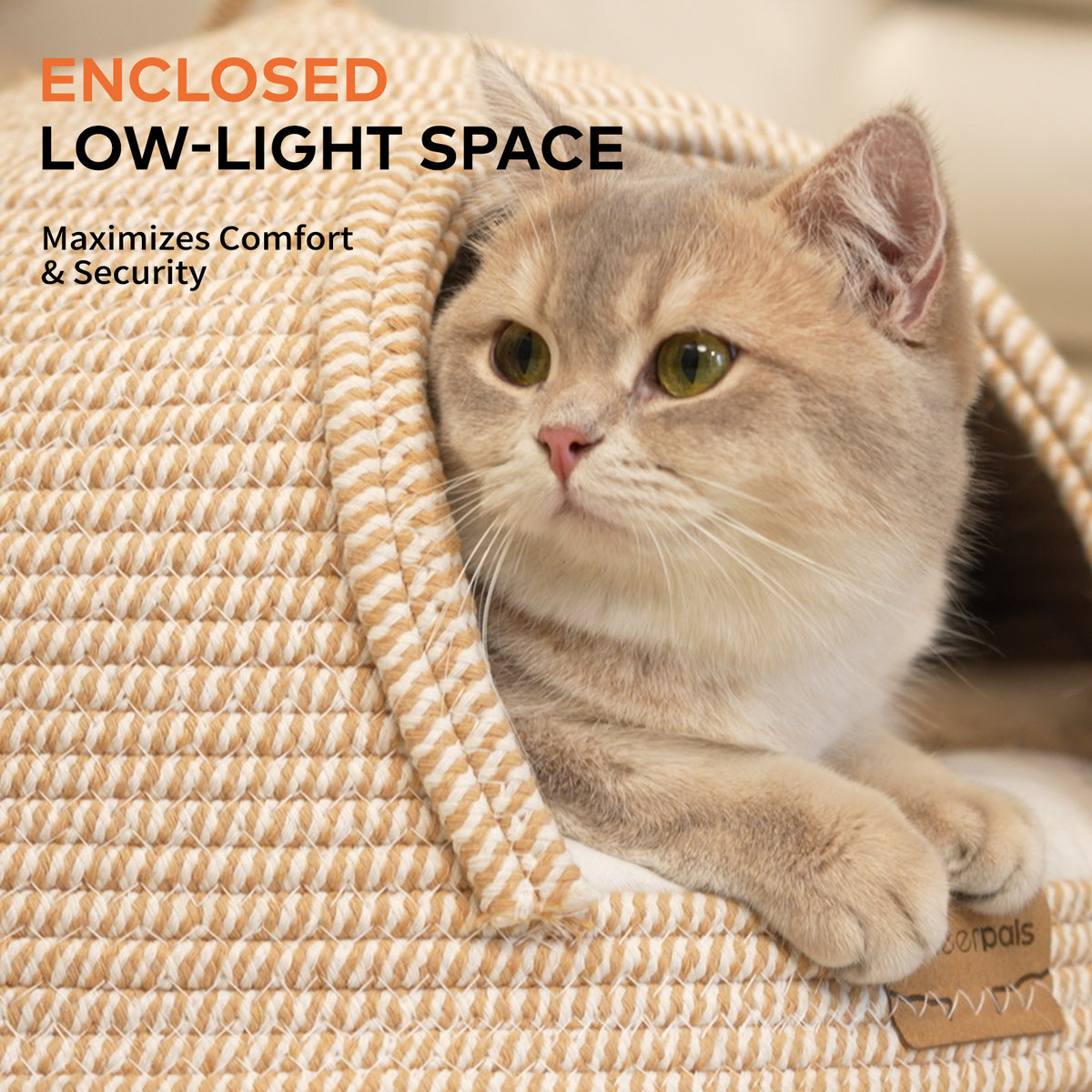CheerPals Cat Cave Bed with Cushion, 21*21in All-Season Large Cats House Tent with Toy Ball for Indoor