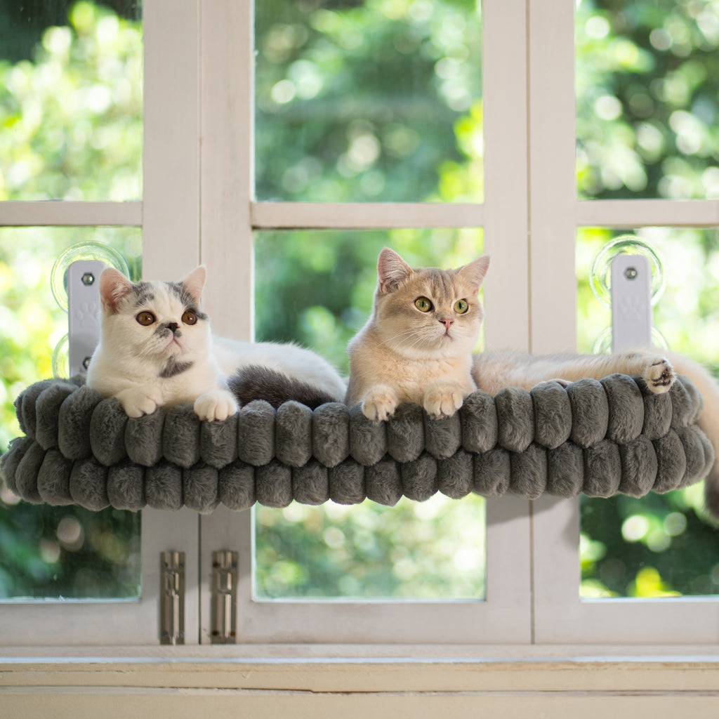 Cat Window Perch for Indoor Cats Hammock for Window with Reversible Cushion, Foldable Cat Window Bed for Large Cats and Kittens